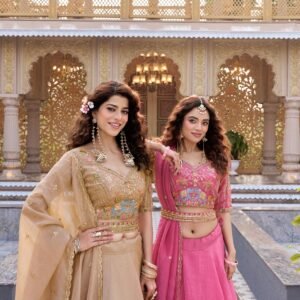 New Launching Wedding Lehenga Choli (CHIKU COLOUR)