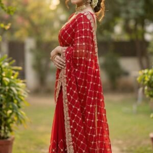 Women's Red Pure Fandy Chiffon Silk Saree with Heavy Sequin Embroidery Work
