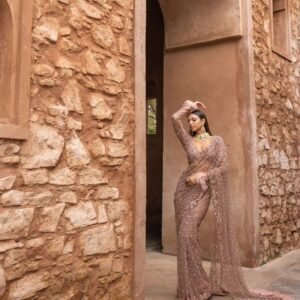 Designer Soft Net Embroidered Saree – Classic Peach