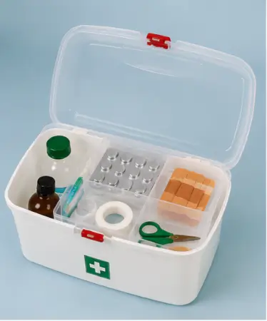 aEfSeA16FZ1s5nAdsXGfzB4NXdT0MJVSyRFZTXZQ.webp Multipurpose Medicine Storage Box with Handle | Plastic First Aid Kit Organizer with 2 Compartments (White) ( default, OS )