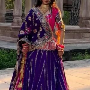 Premium Georgette Darbari Poshak Embroidered Sequins