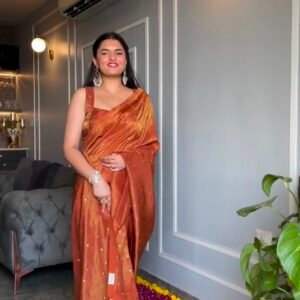 Premium Chimar Tissue Silk Rusty Orange Designer Saree