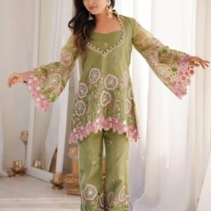 D'naari Elegant Sage Green Embroidered Sequins With Multi Thread Co-ord Set
