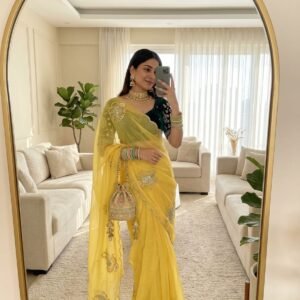 Pure Soft Shimmer Silk Resham Weaving Saree with Moti cutdana Handwork-Available 5 Colours